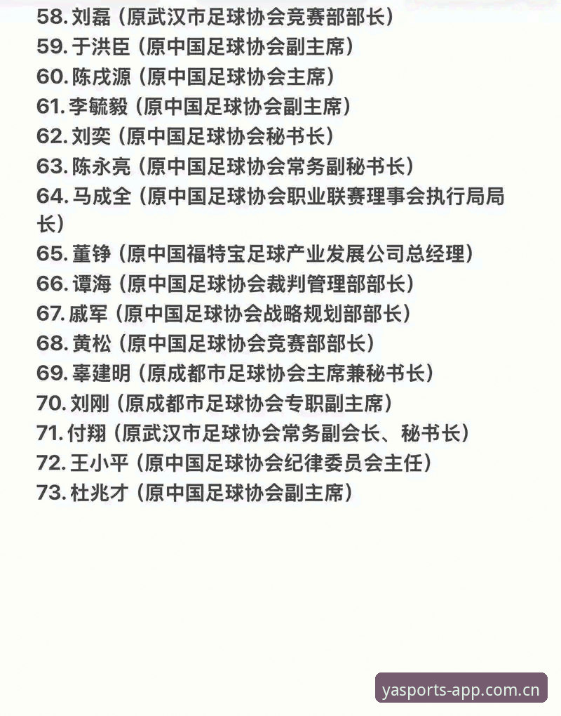 中国足协第三批禁足名单完整解读指南：17人终身禁赛背后的行业整顿
